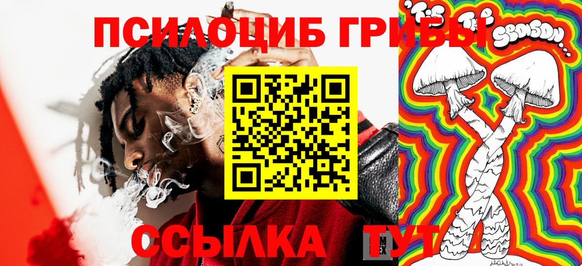 Псилоцибиновые грибы ЛСД  Вход с VPN  Гусиноозёрск  Псилоцибиновые грибы MAGIC MUSHROOMS 