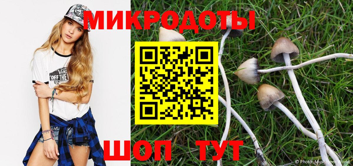 Псилоцибиновые грибы GOLDEN TEACHER Гусиноозёрск